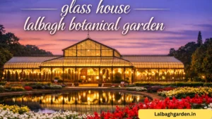 glass house lalbagh botanical garden