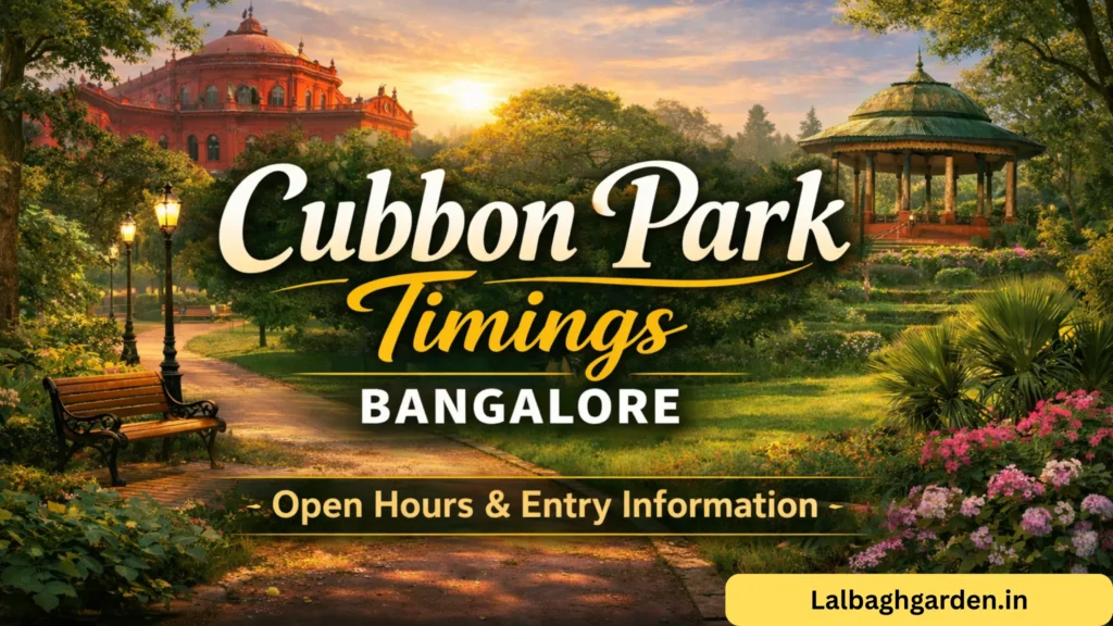 cubbon park timings