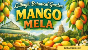 lalbagh botanical garden mango mela