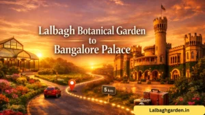 lalbagh botanical garden to bangalore palace