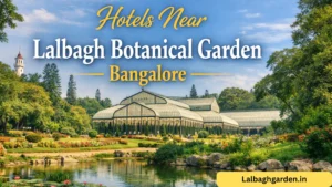 hotels near lalbagh botanical garden bangalore​​