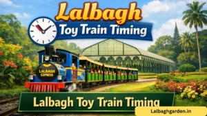 lalbagh toy train timing