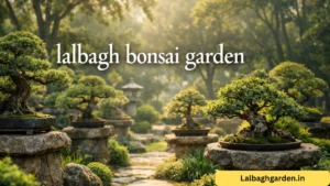 lalbagh bonsai garden