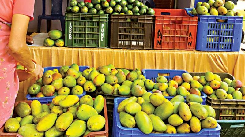 Lalbagh Mango Mela