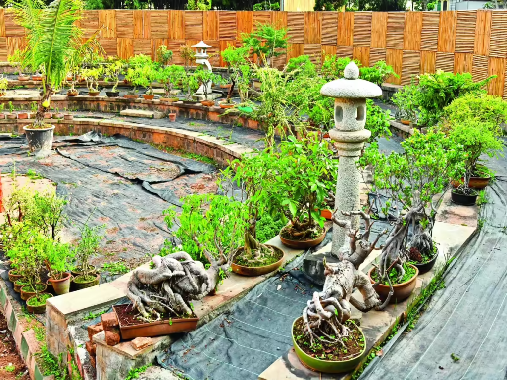 Green Corner Seating Area