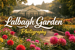 Lalbagh Garden photography