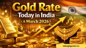 Gold Rate Today 8 March 2026