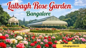 Lalbagh Rose Garden Bangalore