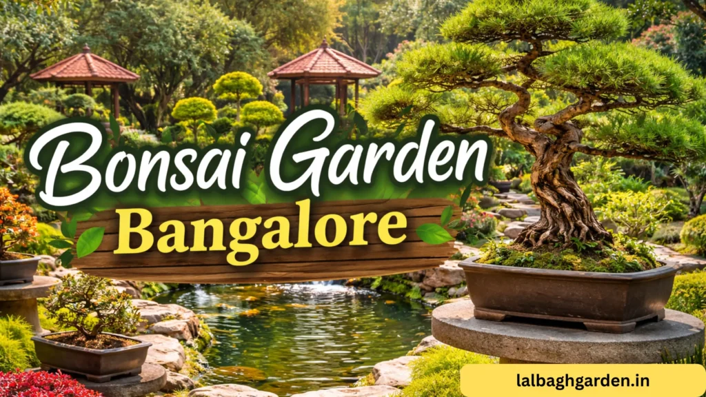 Bonsai Garden